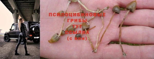 первитин Горняк