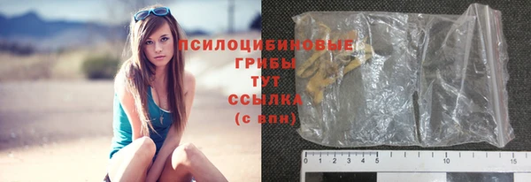 первитин Горняк