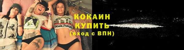 ПСИЛОЦИБИНОВЫЕ ГРИБЫ Горнозаводск