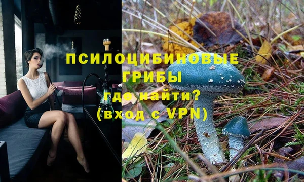первитин Горняк