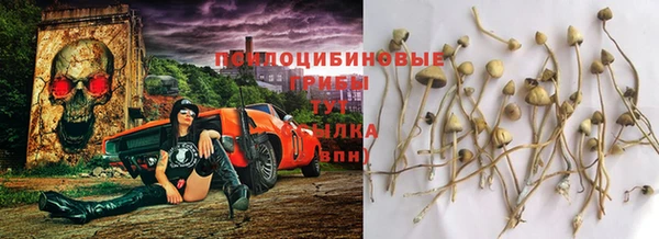 твердый Горно-Алтайск