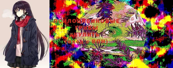 твердый Горно-Алтайск