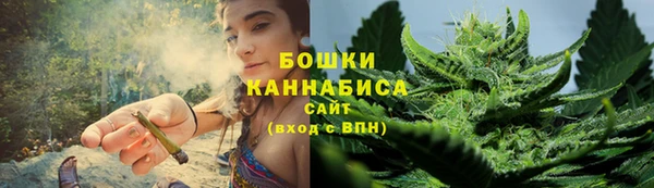 ПСИЛОЦИБИНОВЫЕ ГРИБЫ Горнозаводск